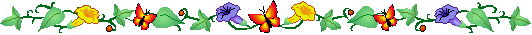 A colorful border-style graphic with flowers and butterflies.