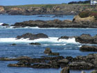 The Mendocino coast from the Mendocino Coast Botanical Gardens, 2004